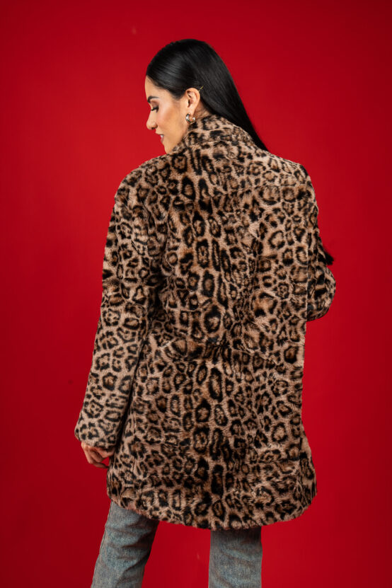 020379_CA_04.jpg 020379_CA_04.jpg